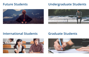 Đại học Lakehead