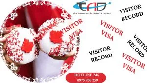 Visitor record