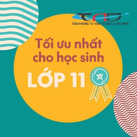 Bước đi THÔNG MINH và TIẾT KIỆM CHI PHÍ khi chọn THPT Mỹ 3 kỳ học 1 THPT Mỹ