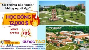Đại học Wright State