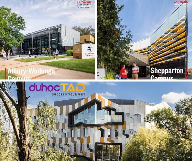 Học bổng Principal’s Excellence trị giá 50% từ La Trobe College