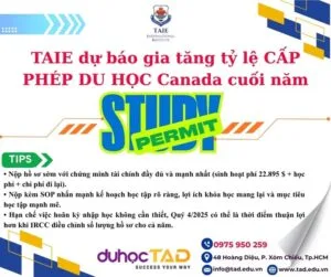 Học viện TAIE