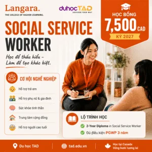 Social Service Worker