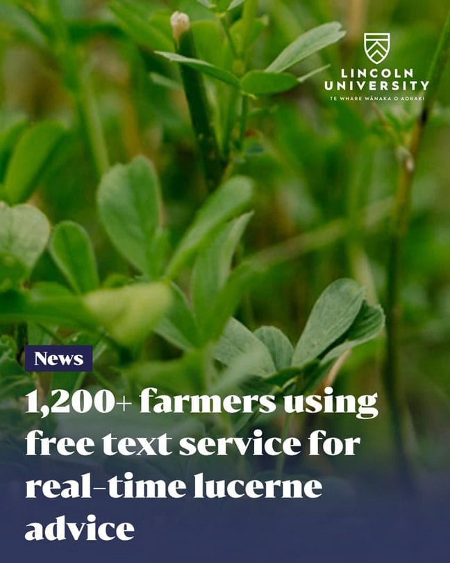Lincoln University được yêu thích vì học bổng 15,000 NZD? 2 Lincoln University được yêu thích vì học bổng 15,000 NZD?