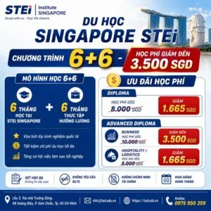 STEi Singapore – du học tiết kiệm, thực tập hưởng lương và cơ hội chuyển tiếp quốc tế