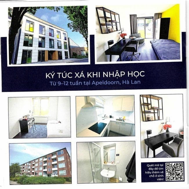 Wittenborg University - Đại học kinh doanh tốt nhất Hà Lan