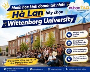 Wittenborg University - Đại học kinh doanh tốt nhất Hà Lan 116 Wittenborg University - Đại học kinh doanh tốt nhất Hà Lan